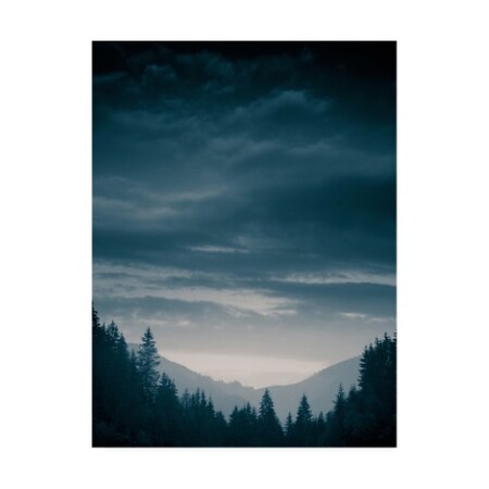 PhotoINC Studio 'Blue Mountains IV' Canvas Art,35x47